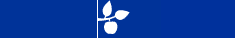 [SDU Logo]